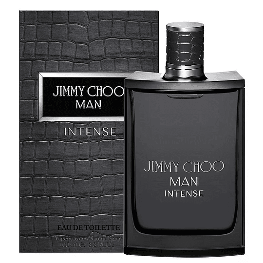 Jimmy Choo Jimmy Choo Man Intense EDT 100 ML (H)